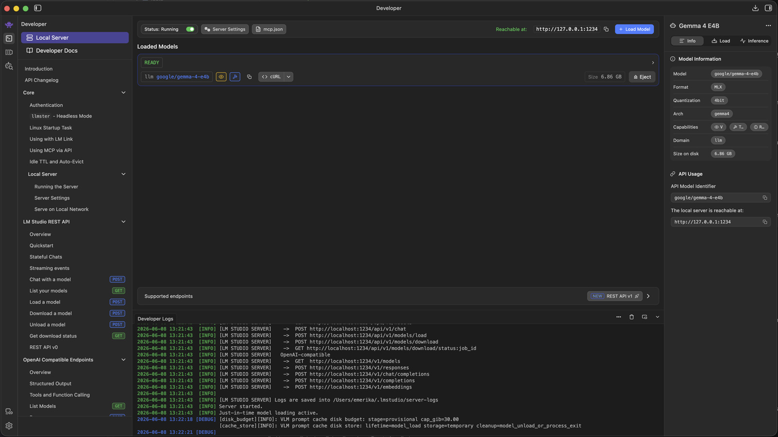 LM Studio interface with the local API server running